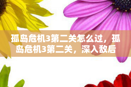 孤岛危机3第二关怎么过，孤岛危机3第二关，深入敌后，挑战升级