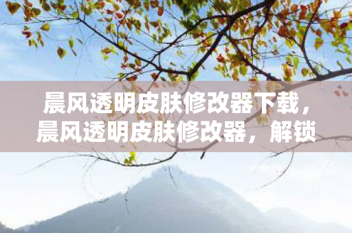 晨风透明皮肤修改器下载，晨风透明皮肤修改器，解锁游戏视觉盛宴的利器