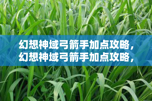幻想神域弓箭手加点攻略,幻想神域弓箭手加点攻略,打造高效输出角色 幻想神域弓箭手加点攻略,幻想神域弓箭手加点攻略,打造高效输出角色