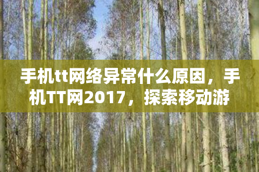 手机tt网络异常什么原因,手机TT网2017,探索移动游戏的新纪元 手机tt网络异常什么原因,手机TT网2017,探索移动游戏的新纪元