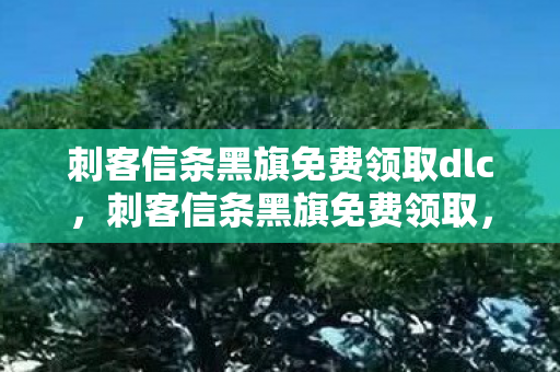 刺客信条黑旗免费领取dlc，刺客信条黑旗免费领取，探索海盗世界的奇妙之旅