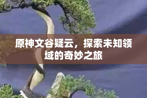 原神文谷疑云,探索未知领域的奇妙之旅 原神文谷疑云,探索未知领域的奇妙之旅