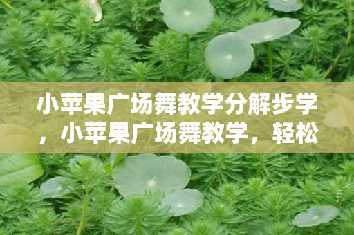 小苹果广场舞教学分解步学，小苹果广场舞教学，轻松掌握热门舞曲的舞步与技巧