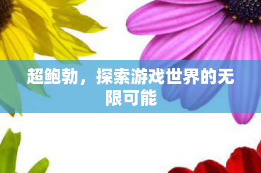 超鲍勃,探索游戏世界的无限可能 超鲍勃,探索游戏世界的无限可能