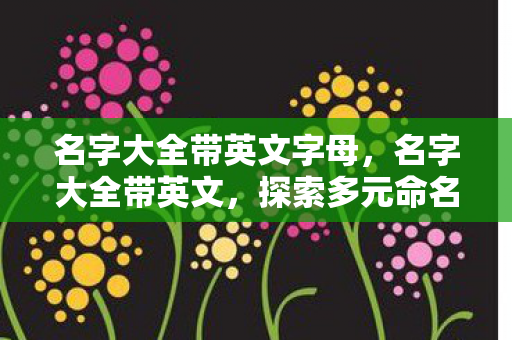 名字大全带英文字母，名字大全带英文，探索多元命名艺术