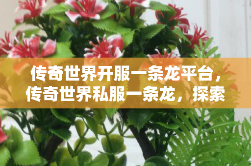 传奇世界开服一条龙平台,传奇世界私服一条龙,探索未知世界的奇妙旅程 传奇世界开服一条龙平台,传奇世界私服一条龙,探索未知世界的奇妙旅程