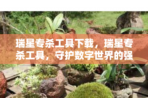 瑞星专杀工具下载,瑞星专杀工具,守护数字世界的强大武器 瑞星专杀工具下载,瑞星专杀工具,守护数字世界的强大武器