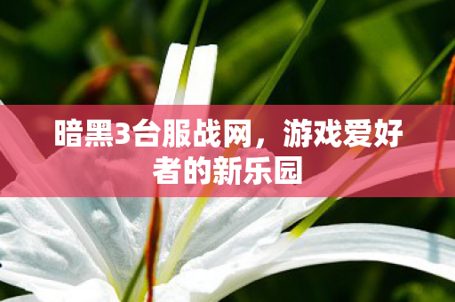 暗黑3台服战网,游戏爱好者的新乐园 暗黑3台服战网,游戏爱好者的新乐园