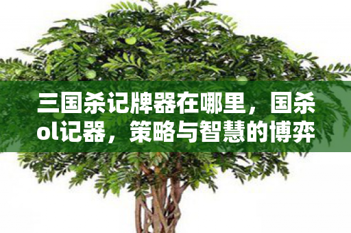 三国杀记牌器在哪里,国杀ol记器,策略与智慧的博弈 三国杀记牌器在哪里,国杀ol记器,策略与智慧的博弈