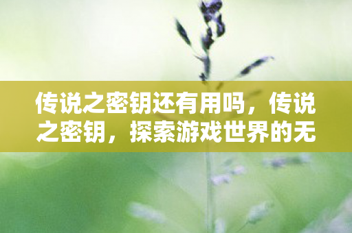传说之密钥还有用吗,传说之密钥,探索游戏世界的无限可能 传说之密钥还有用吗,传说之密钥,探索游戏世界的无限可能