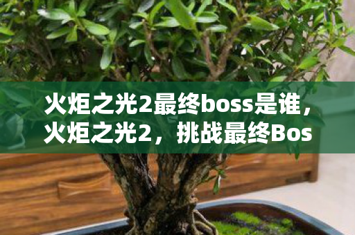 火炬之光2最终boss是谁,火炬之光2,挑战最终Boss—灰影领主 火炬之光2最终boss是谁,火炬之光2,挑战最终Boss—灰影领主