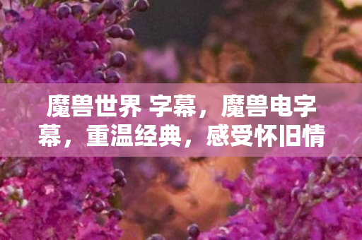 魔兽世界 字幕,魔兽电字幕,重温经典,感受怀旧情怀 魔兽世界 字幕,魔兽电字幕,重温经典,感受怀旧情怀