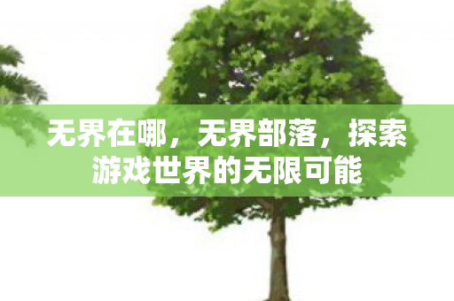 无界在哪,无界部落,探索游戏世界的无限可能 无界在哪,无界部落,探索游戏世界的无限可能