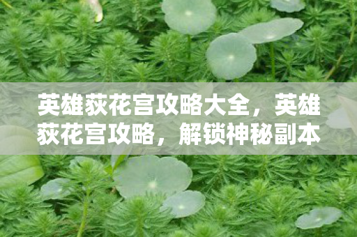 英雄荻花宫攻略大全,英雄荻花宫攻略,解锁神秘副本的终极指南 英雄荻花宫攻略大全,英雄荻花宫攻略,解锁神秘副本的终极指南