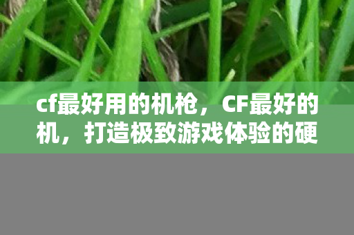 cf最好用的机枪，CF最好的机，打造极致游戏体验的硬件选择