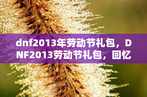 dnf2013年劳动节礼包，DNF2013劳动节礼包，回忆与情怀的交织