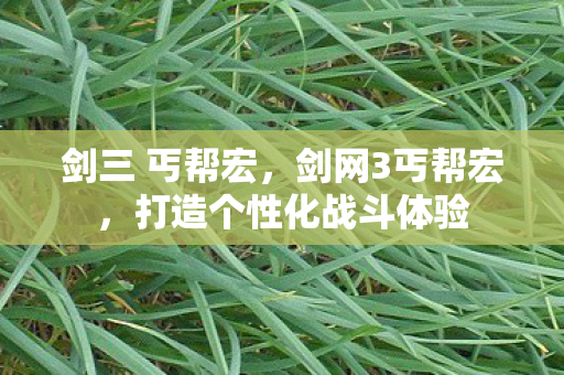 剑三 丐帮宏,剑网3丐帮宏,打造个性化战斗体验 剑三 丐帮宏,剑网3丐帮宏,打造个性化战斗体验