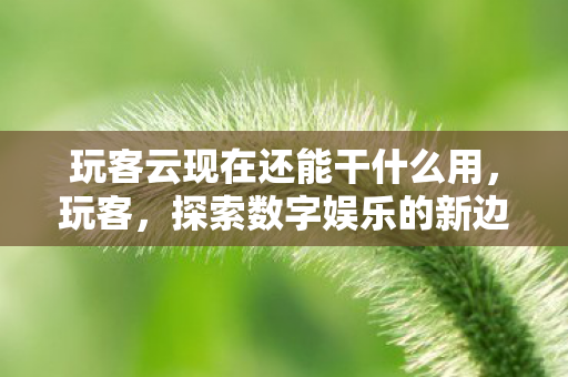 玩客云现在还能干什么用，玩客，探索数字娱乐的新边界