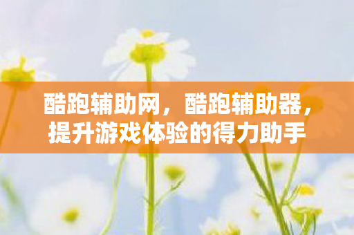 酷跑辅助网,酷跑辅助器,提升游戏体验的得力助手 酷跑辅助网,酷跑辅助器,提升游戏体验的得力助手