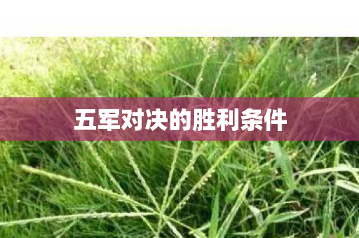 五军对决的胜利条件 五军对决的胜利条件