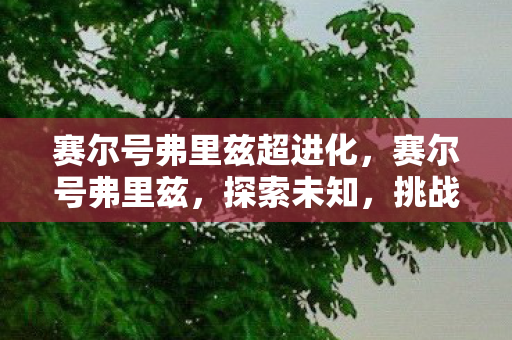 赛尔号弗里兹超进化,赛尔号弗里兹,探索未知,挑战极限的奇幻之旅 赛尔号弗里兹超进化,赛尔号弗里兹,探索未知,挑战极限的奇幻之旅