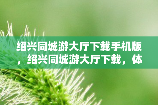 绍兴同城游大厅下载手机版,绍兴同城游大厅下载,体验正宗绍兴麻将的乐趣 绍兴同城游大厅下载手机版,绍兴同城游大厅下载,体验正宗绍兴麻将的乐趣