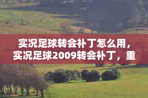实况足球转会补丁怎么用,实况足球2009转会补丁,重温经典,打造梦幻阵容 实况足球转会补丁怎么用,实况足球2009转会补丁,重温经典,打造梦幻阵容