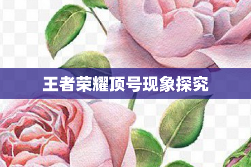 王者荣耀顶号现象探究 王者荣耀顶号现象探究