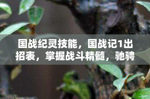 国战纪灵技能,国战记1出招表,掌握战斗精髓,驰骋沙场 国战纪灵技能,国战记1出招表,掌握战斗精髓,驰骋沙场