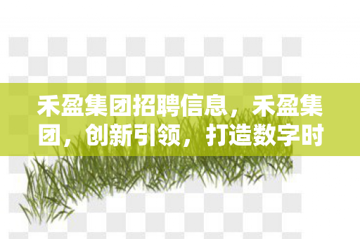 禾盈集团招聘信息，禾盈集团，创新引领，打造数字时代新标杆