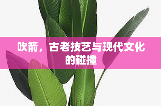 吹箭,古老技艺与现代文化的碰撞 吹箭,古老技艺与现代文化的碰撞