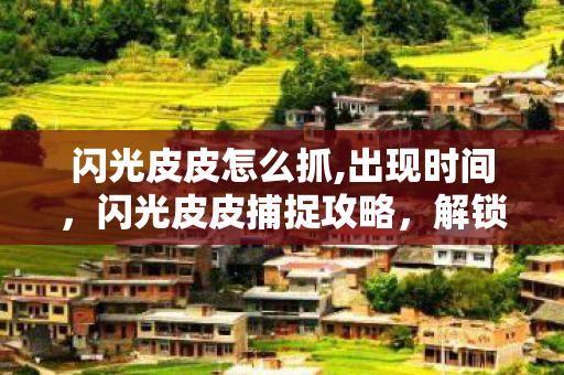 闪光皮皮怎么抓,出现时间,闪光皮皮捕捉攻略,解锁你的宠物收集之旅 闪光皮皮怎么抓,出现时间,闪光皮皮捕捉攻略,解锁你的宠物收集之旅