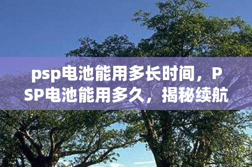 psp电池能用多长时间，PSP电池能用多久，揭秘续航真相与保养秘籍