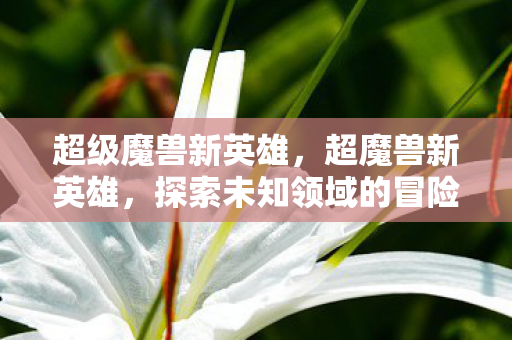 超级魔兽新英雄,超魔兽新英雄,探索未知领域的冒险之旅 超级魔兽新英雄,超魔兽新英雄,探索未知领域的冒险之旅