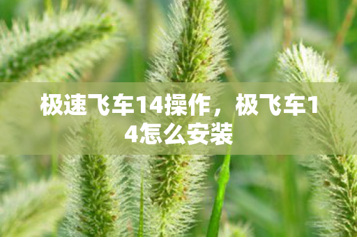 极速飞车14操作,极飞车14怎么安装 极速飞车14操作,极飞车14怎么安装