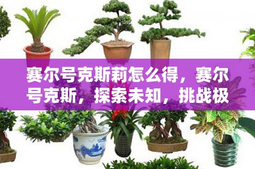 赛尔号克斯莉怎么得,赛尔号克斯,探索未知,挑战极限的奇幻之旅 赛尔号克斯莉怎么得,赛尔号克斯,探索未知,挑战极限的奇幻之旅