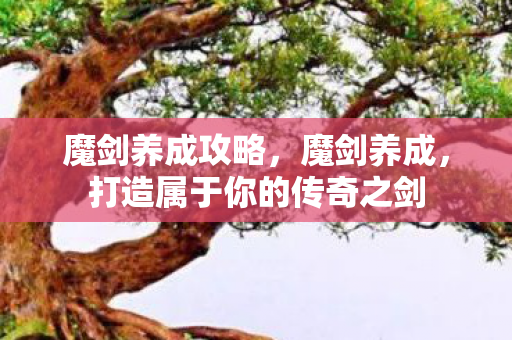 魔剑养成攻略，魔剑养成，打造属于你的传奇之剑