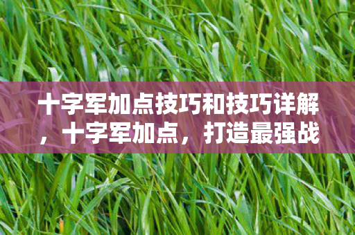 十字军加点技巧和技巧详解,十字军加点,打造最强战士的加点攻略 十字军加点技巧和技巧详解,十字军加点,打造最强战士的加点攻略