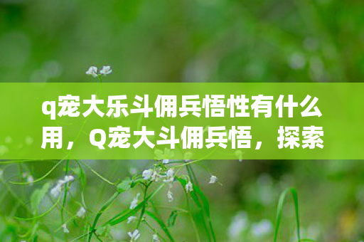 q宠大乐斗佣兵悟性有什么用,Q宠大斗佣兵悟,探索虚拟世界的无限可能 q宠大乐斗佣兵悟性有什么用,Q宠大斗佣兵悟,探索虚拟世界的无限可能