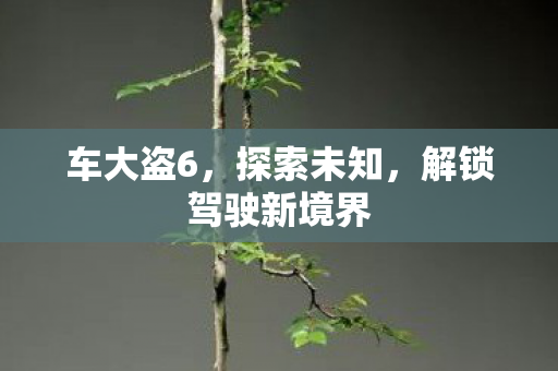 车大盗6,探索未知,解锁驾驶新境界 车大盗6,探索未知,解锁驾驶新境界