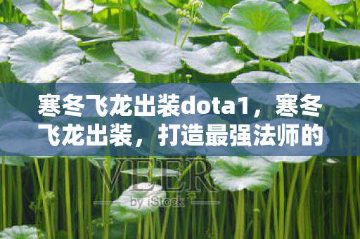 寒冬飞龙出装dota1,寒冬飞龙出装,打造最强法师的攻略 寒冬飞龙出装dota1,寒冬飞龙出装,打造最强法师的攻略