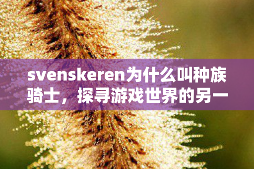 svenskeren为什么叫种族骑士，探寻游戏世界的另一面，揭秘Svenskeren的奇妙之旅