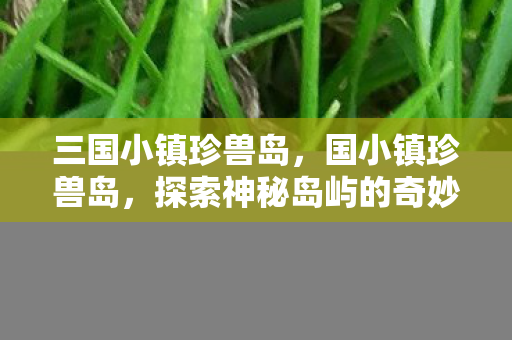 三国小镇珍兽岛,国小镇珍兽岛,探索神秘岛屿的奇妙生物与独特文化 三国小镇珍兽岛,国小镇珍兽岛,探索神秘岛屿的奇妙生物与独特文化