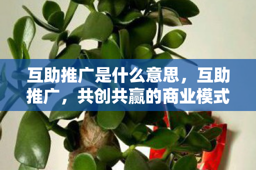 互助推广是什么意思,互助推广,共创共赢的商业模式 互助推广是什么意思,互助推广,共创共赢的商业模式