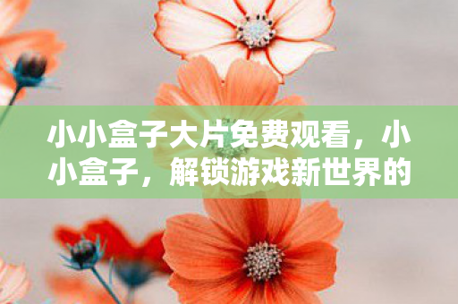 小小盒子大片免费观看，小小盒子，解锁游戏新世界的钥匙