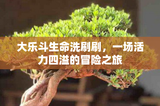 大乐斗生命洗刷刷,一场活力四溢的冒险之旅 大乐斗生命洗刷刷,一场活力四溢的冒险之旅
