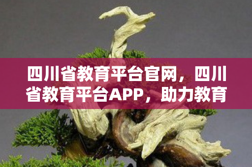 四川省教育平台官网，四川省教育平台APP，助力教育数字化转型的利器