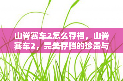 山脊赛车2怎么存档,山脊赛车2,完美存档的珍贵与分享 山脊赛车2怎么存档,山脊赛车2,完美存档的珍贵与分享