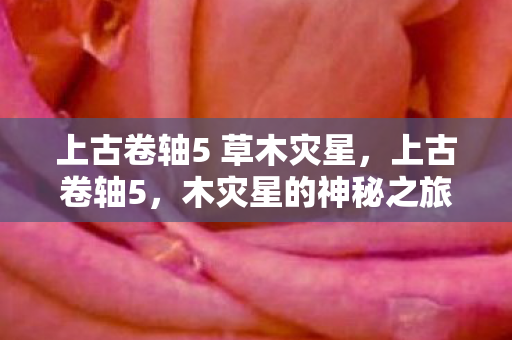上古卷轴5 草木灾星,上古卷轴5,木灾星的神秘之旅 上古卷轴5 草木灾星,上古卷轴5,木灾星的神秘之旅