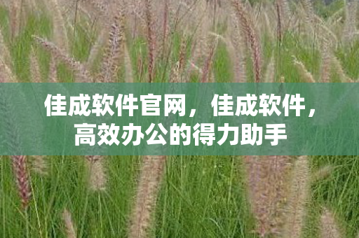佳成软件官网,佳成软件,高效办公的得力助手 佳成软件官网,佳成软件,高效办公的得力助手